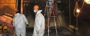 Mold Damage Restoration Technician Working In Basement