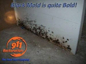 911 Restoration Complete Mold Removal Colorado Springs