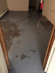 911 Restoration Sewage Backup Cleanup Colorado Springs